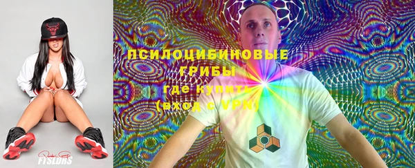 бошки Алексин