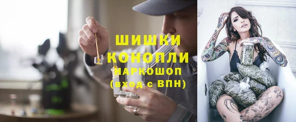 бошки Алексин
