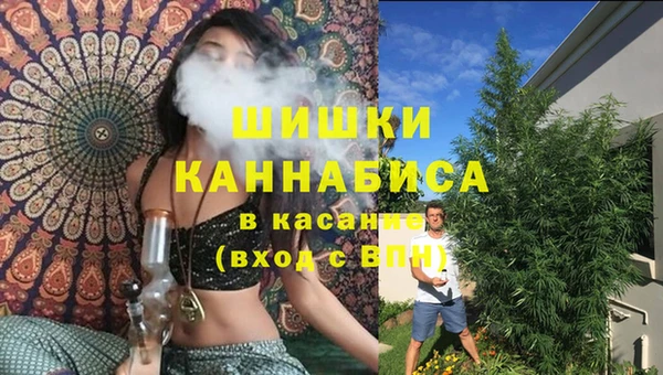бошки Алексин