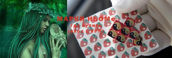 бошки Алексин
