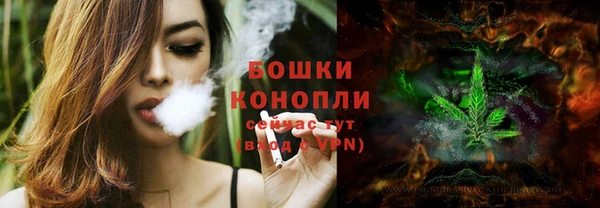 бошки Алексин