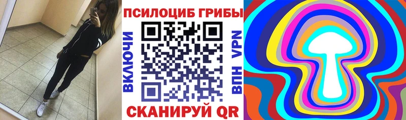 хочу   Кириши  дарк нет состав  Галлюциногенные грибы Cubensis 