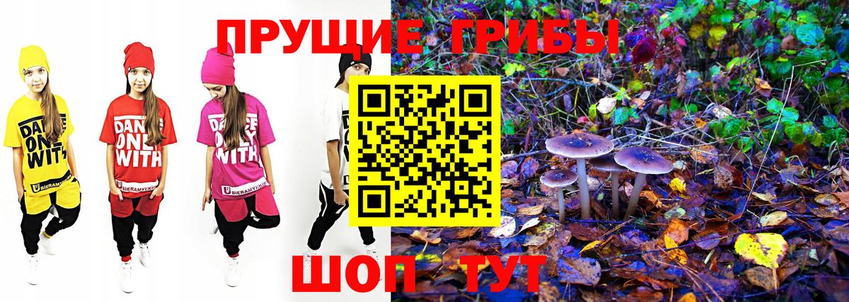Кириши  Галлюциногенные грибы ЛСД  Вход с VPN  Псилоцибиновые грибы Cubensis 