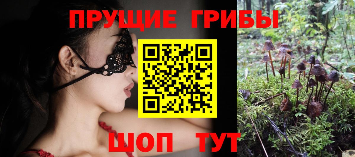 Псилоцибиновые грибы Psilocybine cubensis Кириши