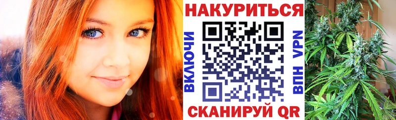 Бошки Шишки планчик  Кириши 